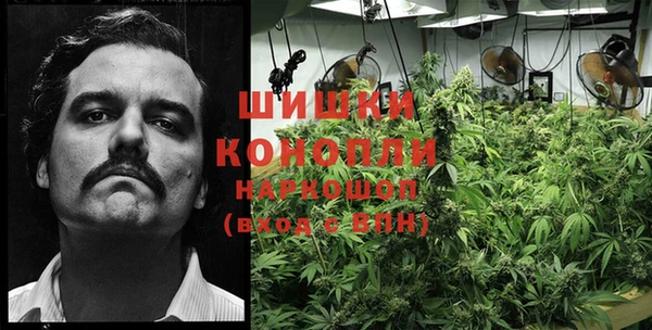 гашик Наволоки